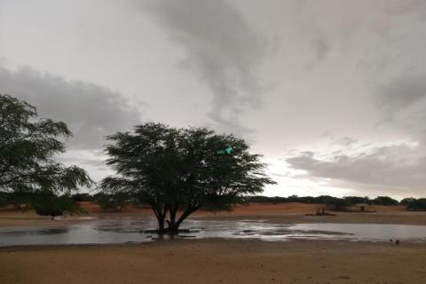 مقاييس الأمطار خلال لـ 24 ساعة الماضية في موريتانيا