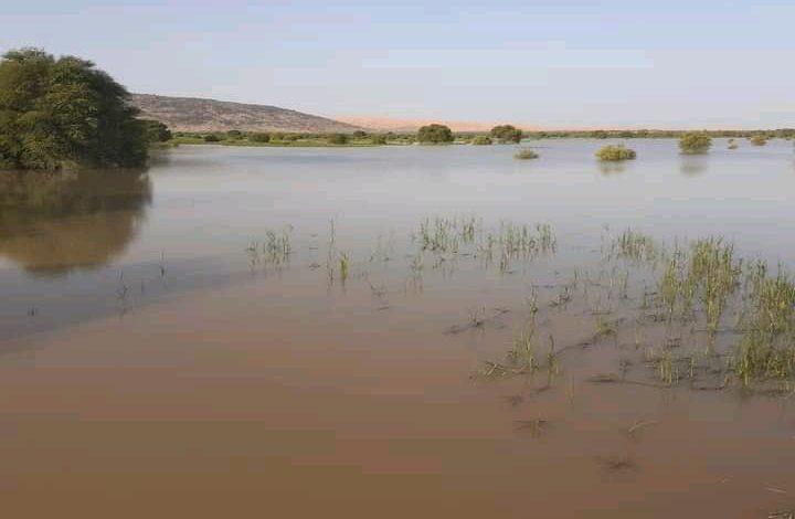 أمطار متفرقة على 5 ولايات من الوطن (مقاييس)
