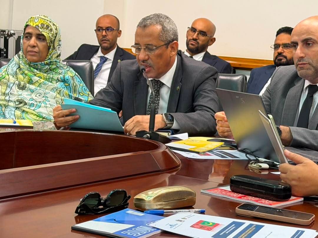 مدير الخزينة: إصلاحات المالية العامة فى موريتانيا حققت تقدما مهما نحو الشفافية والأداء