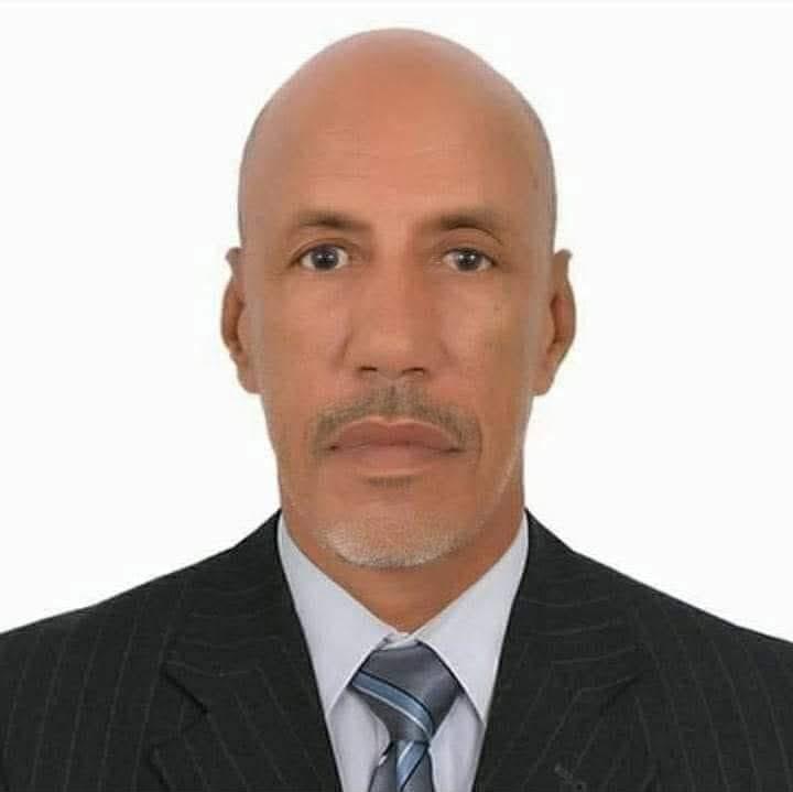 أفق البناء وطموح الوطن - محمد ولد سيداتي