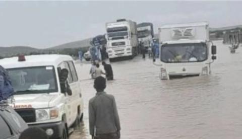 صورة تدعم النص